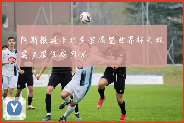 阿斯报道卡尔多索渴望世界杯之旅需克服伤病困扰