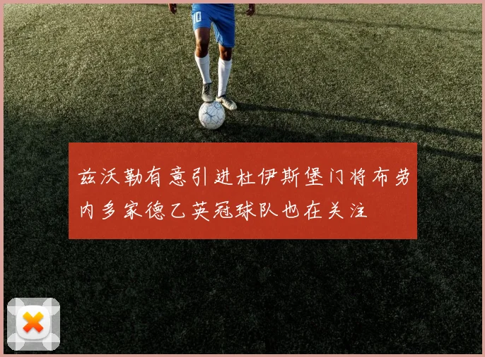 兹沃勒有意引进杜伊斯堡门将布劳内多家德乙英冠球队也在关注
