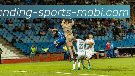 问鼎娱乐服务体系